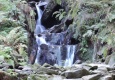 DSCN0665