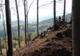 DSCN0734