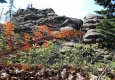 DSCN1885