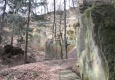 IMG_8737.JPG