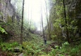 alberice_1
