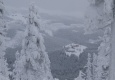 destne_1
