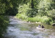 img_1083_0