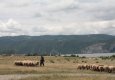 img_1818_0