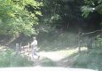 img_2047_0