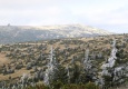 img_2757_0