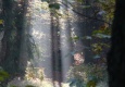 img_0917