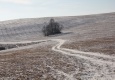 img_3359