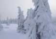 img_8983