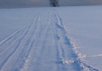 img_91791